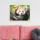 Impression de toile Panda Rouge (Insitu(Salon))