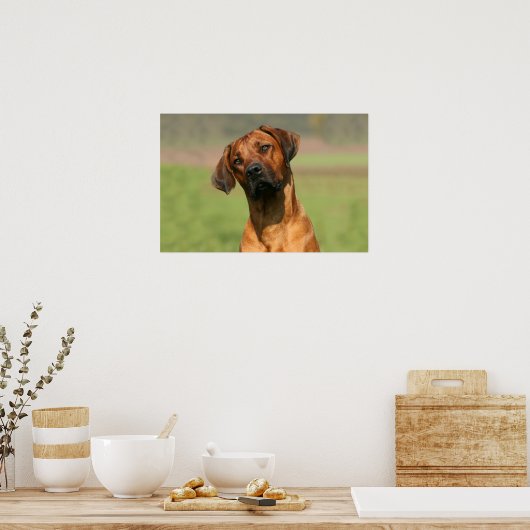 Impression de toile Rhodesian Ridgeback (Cuisine)