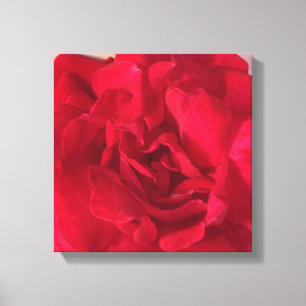 Impression de toile rouge Rose
