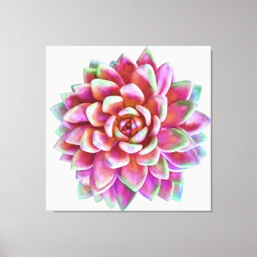 Impression de toile succulente de 5pi x 5pi extra (Recto)