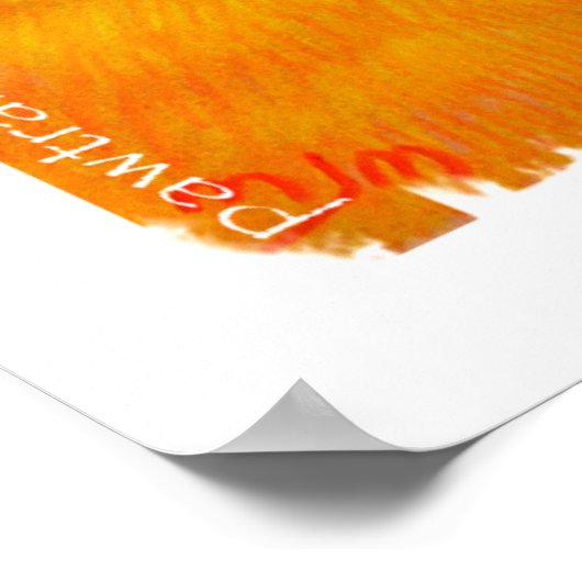 Impression de toile - Sun Conure (Coin)