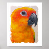 Impression de toile - Sun Conure (Devant)