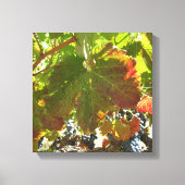 Impression de toile - Vignes (Recto)