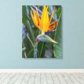 Impression de toile vue fleur Oiseau du Paradis (Insitu (Plancher de Bois))