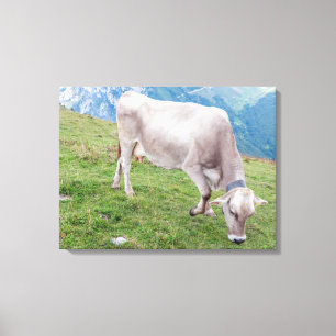 Impression de toile vue vache de pâturage