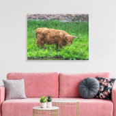 Impression de toile vue vache Highland (Insitu(Salon))