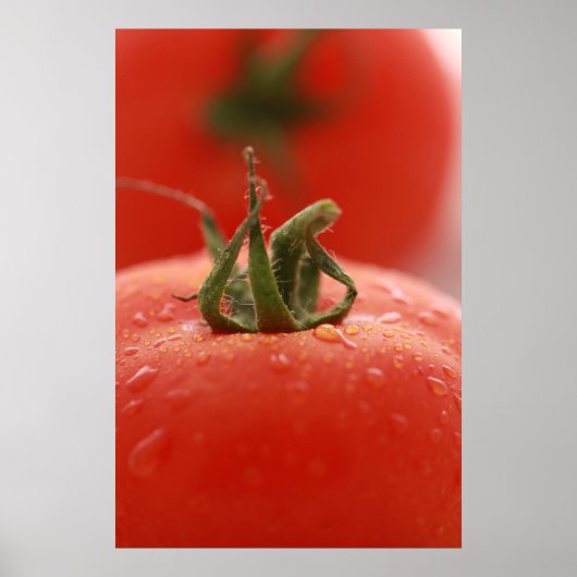 Impression de tomates (Devant)