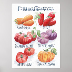 Impression de tomates