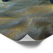 Impression de tortue de mer à col Leatherneck (Coin)