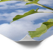 Impression de tournesol (Coin)