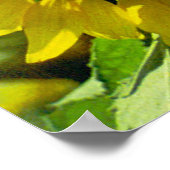 Impression de tournesol (Coin)