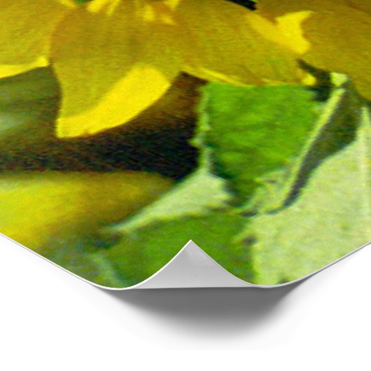 Impression de tournesol (Coin)