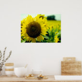 Impression de tournesol (Cuisine)