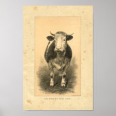 Impression de vache vintage 1888 (Devant)