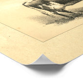 Impression de vache vintage 1888 (Coin)