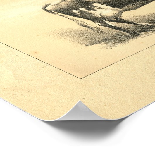 Impression de vache vintage 1888 (Coin)