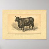 Impression de vache vintage 1888 (Devant)