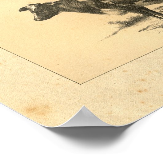 Impression de vache vintage 1888 (Coin)