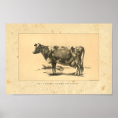 Impression de vache vintage 1888 (Devant)