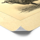 Impression de vache vintage 1888 (Coin)