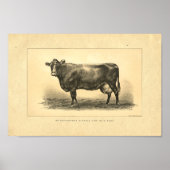 Impression de vache vintage 1888 (Devant)