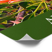 Impression de voyage de Protea (Coin)