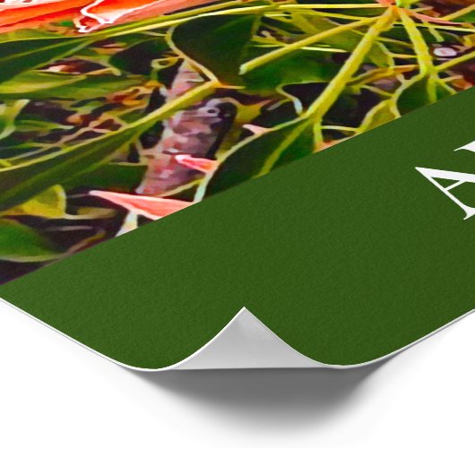 Impression de voyage de Protea (Coin)