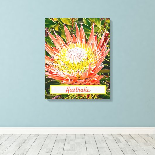 Impression de voyage de Protea (Insitu (Plancher de Bois))