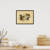 Impression d'écureuil vintage (Cuisine)