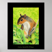 Impression d'écureuils curieux (Devant)