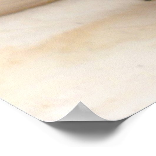 Impression Degu (Coin)