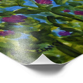 impression demi-âne (Coin)