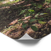 Impression des acres perdues (Coin)