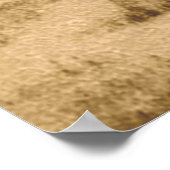 Impression des arbres anciens (Coin)