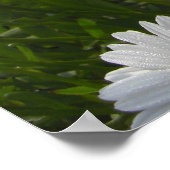 Impression des baies (Coin)