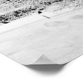 Impression des blancs d'hiver (Coin)