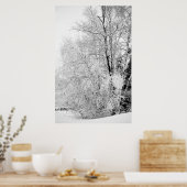 Impression des blancs d'hiver (Cuisine)