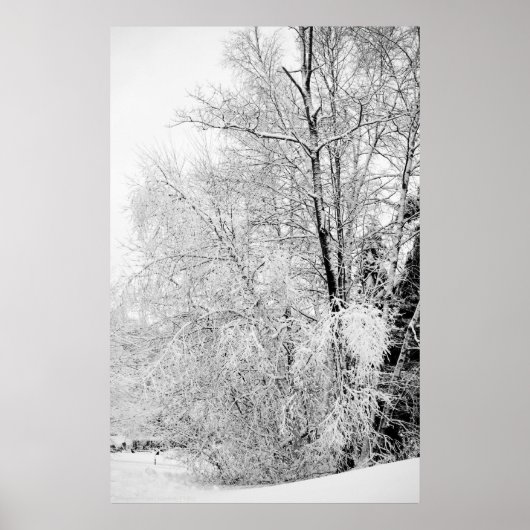 Impression des blancs d'hiver (Devant)