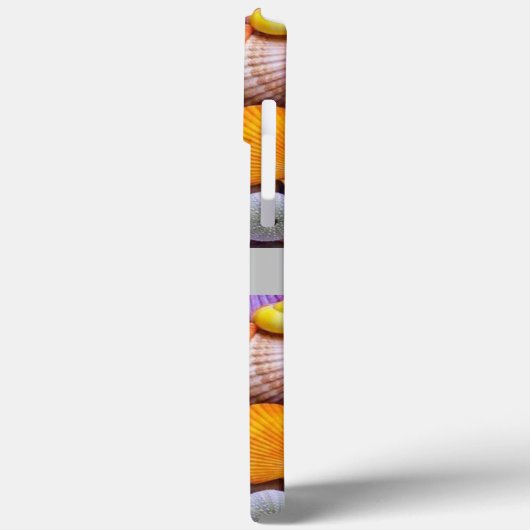 Impression des coques de mer (Verso / Gauche)