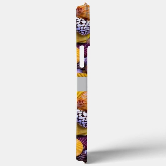 Impression des coques de mer (Verso / Droite)