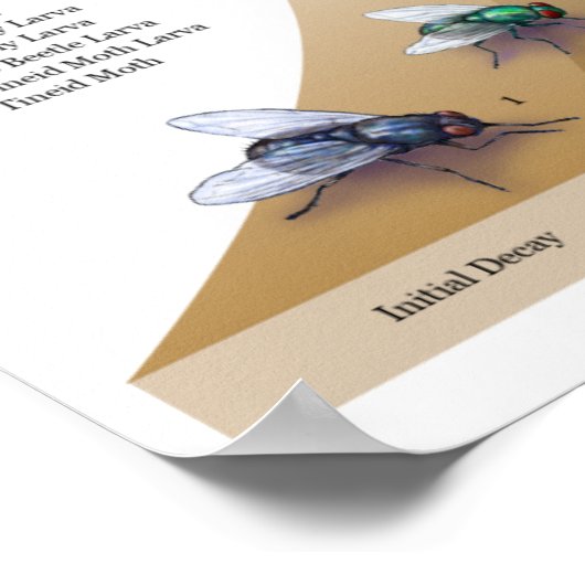 Impression des décomposeurs (Coin)