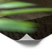 Impression des éléphants (Coin)