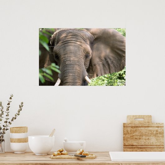Impression des éléphants (Cuisine)