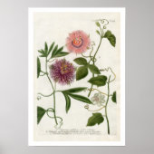 Impression des fleurs de passion (Devant)