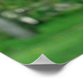 Impression des fleurs roses (Coin)