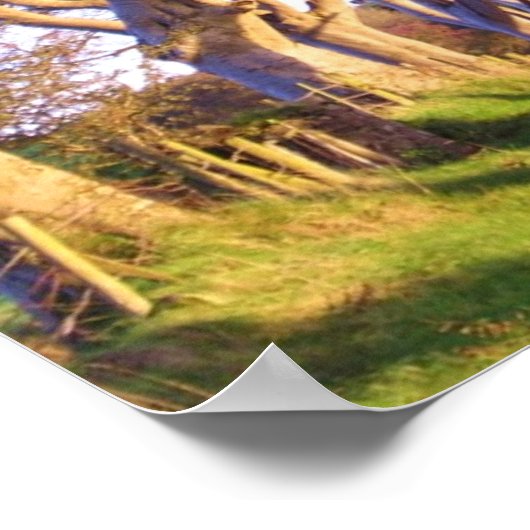 Impression des haies sombres (Coin)