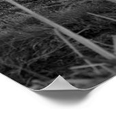 Impression des jours de foin (Coin)