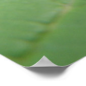 Impression des macros survolées (Coin)