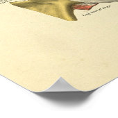 Impression des os d'anatomie articulés de l'épaule (Coin)