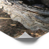 Impression des pales (Coin)